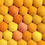 citrus