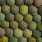 moss