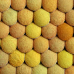 pollen