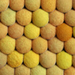 pollen