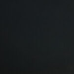 black birch