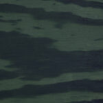 dark green pine