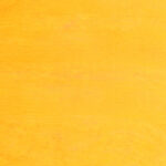 yellow birch