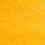 yellow pine